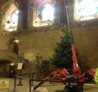 La minigru UNIC monta l’albero di Natale